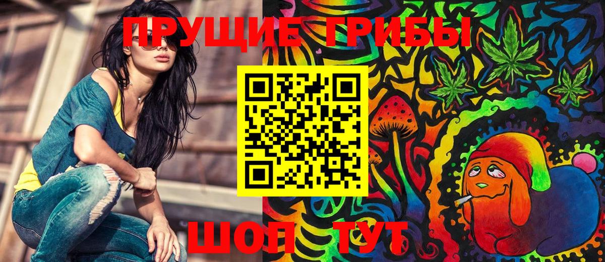 Галлюциногенные грибы Psilocybine cubensis  Вход с VPN  продажа наркотиков  Каменка  Галлюциногенные грибы прущие грибы 