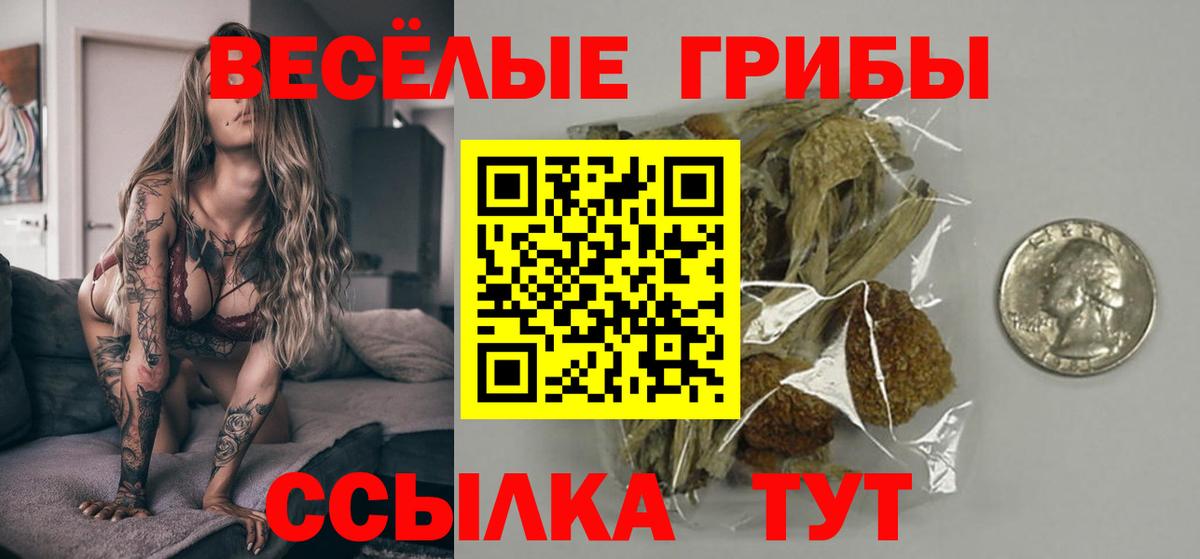 Галлюциногенные грибы MAGIC MUSHROOMS Каменка